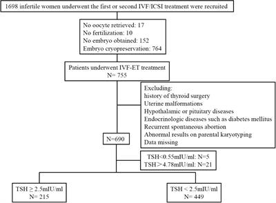 Impact of thyroid-stimulating hormone levels after controlled ovarian hyperstimulation on in vitro fertilization/intracytoplasmic sperm injection outcomes in women with fresh embryo transfer: a prospective cohort study